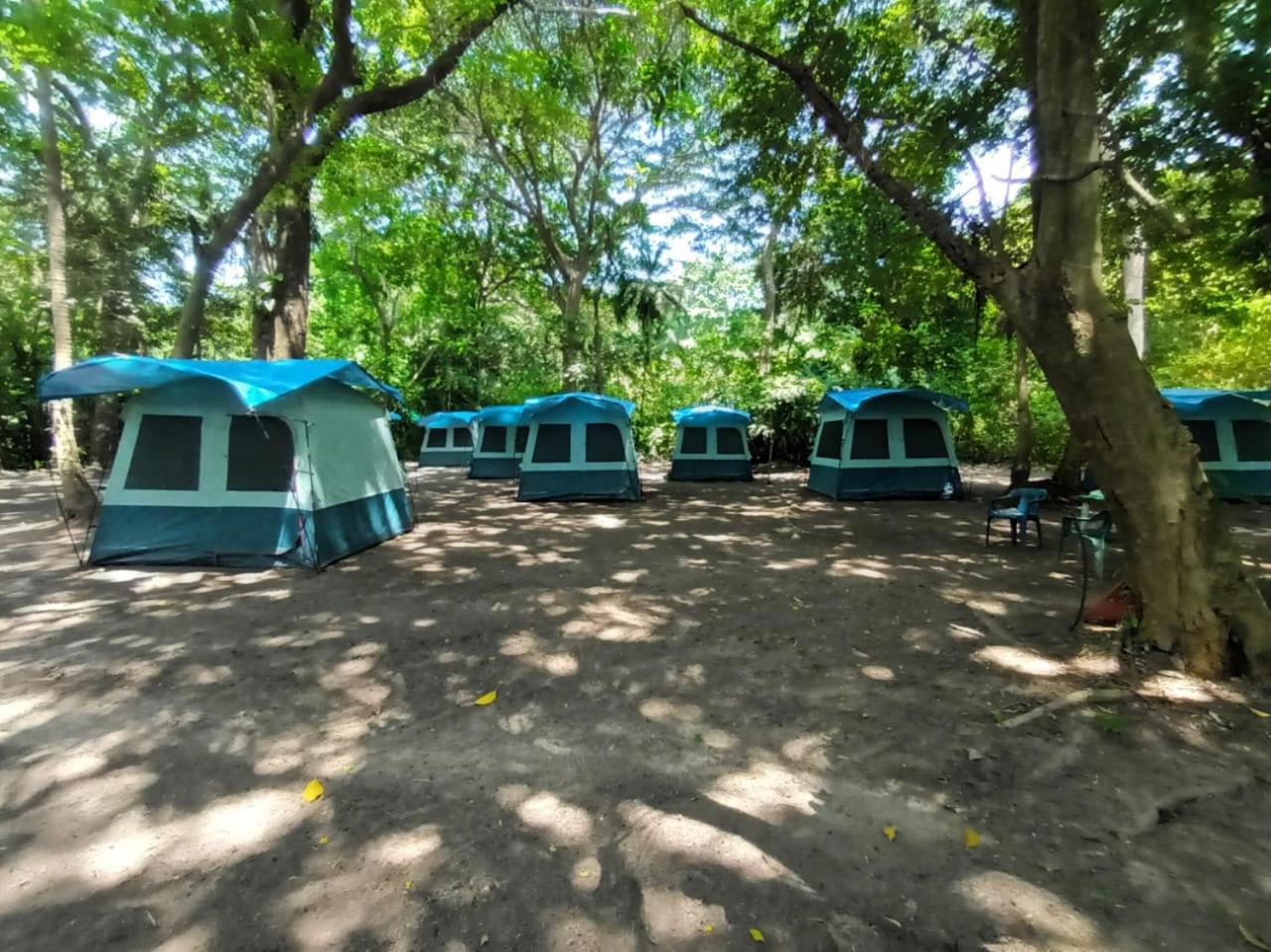 Happy Camping Arrecifes Dentro Del Parque Nacional Natural Tayrona El Coquito المظهر الخارجي الصورة