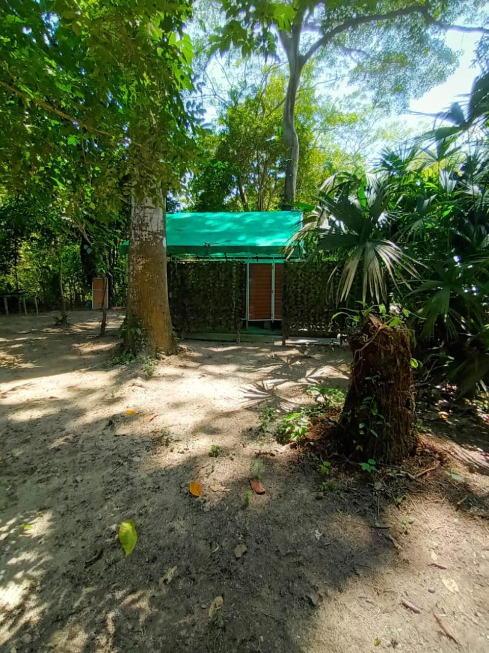 Happy Camping Arrecifes Dentro Del Parque Nacional Natural Tayrona El Coquito المظهر الخارجي الصورة